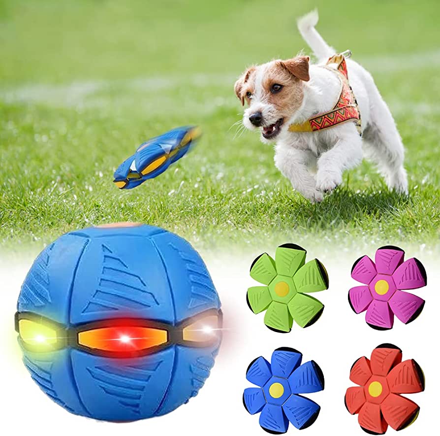 Hundfrisbee 