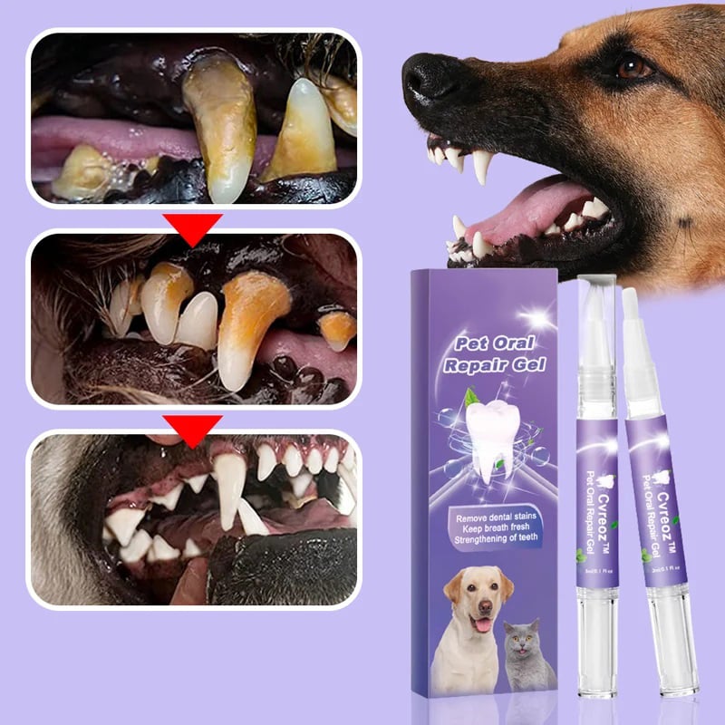 Pawfect Smile - The Ultimate Dog Toothbrush  |  Buy One, Get One Free – Today Only