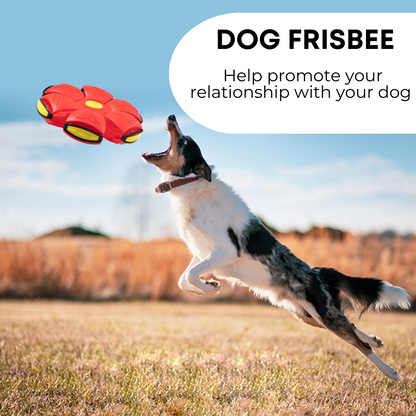 Hundfrisbee 